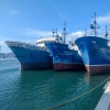 México recupera ecosistema marino con arrecifes artificiales 
